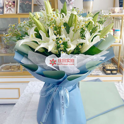 怀化8支白色多头百合洋甘菊，互倾的思念